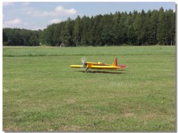 Spassfliegen 2015